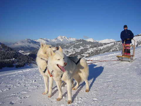 découverte du plateau de Beauregard l'hiver